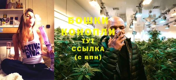 молекула духа Белокуриха